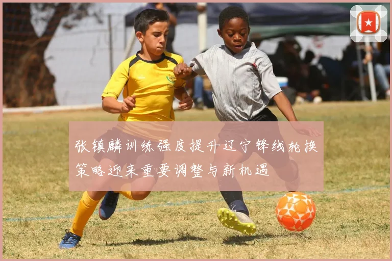 张镇麟训练强度提升辽宁锋线轮换策略迎来重要调整与新机遇